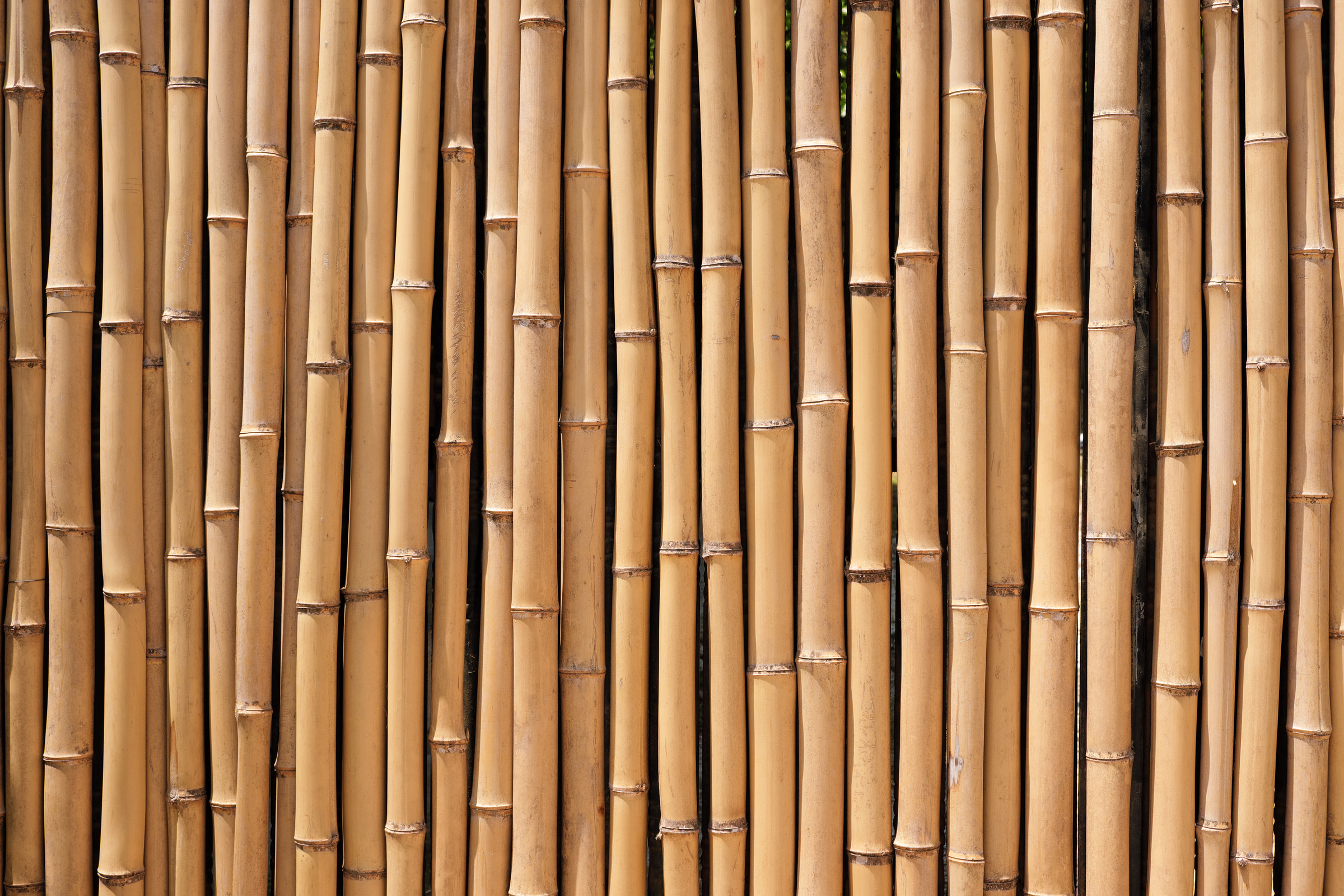 Natural Bamboo Texture Background 